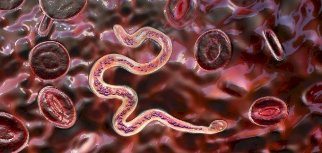 Anthelmintics and Antiparasitics