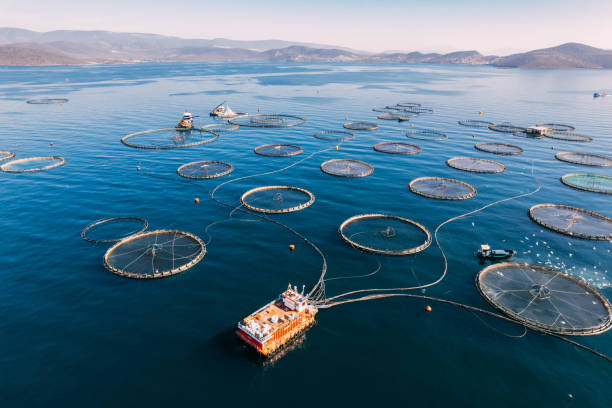 Aquaculture